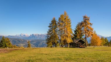 salten-herbst-5-tv-jenesien-michael-guggenberg