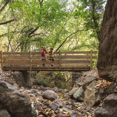 Zwei Kinder stehen auf einer Holzbrücke über einem kleinen, von Herbstlaub bedeckten Bach im Wald.