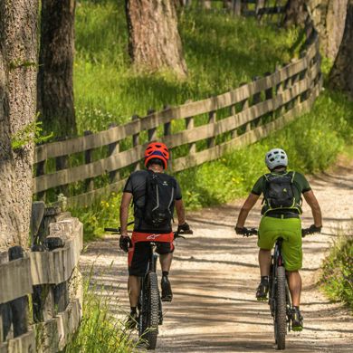 Zwei Personen auf einer Radtour durch den Wald