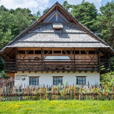 Das Haflingermuseum