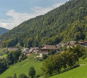 holzfaellerweg-84-von-169