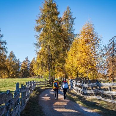 Zwei Personen wandern im Herbst