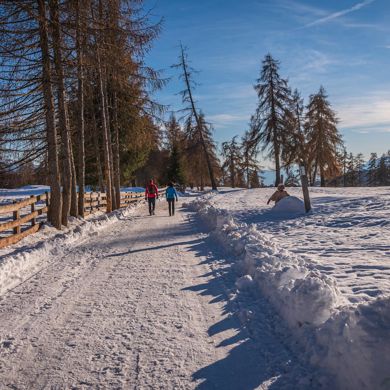 Zwei Personen machen eine Winterwanderung
