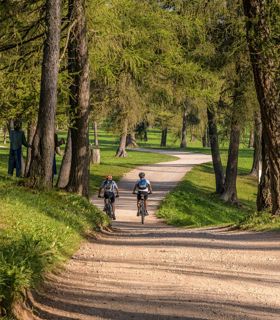 Zwei Personen auf einer Radtour durch den Wald