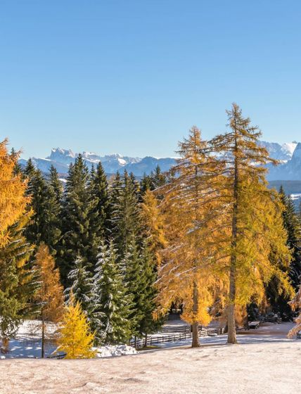 salten-winter-9999-tv-jenesien-michael-guggenberg