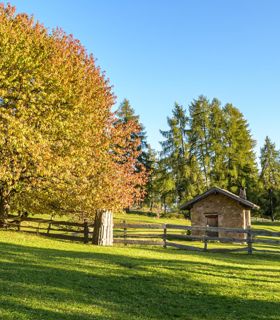 salten-herbst-1-tv-jenesien-michael-guggenberg