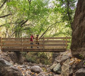 Zwei Kinder stehen auf einer Holzbrücke über einem kleinen, von Herbstlaub bedeckten Bach im Wald.