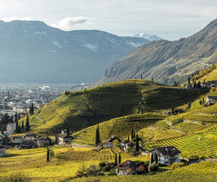 idmsuedtirol-weintiberio-sorvillo