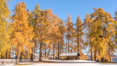 salten-winter-999-tv-jenesien-michael-guggenberg